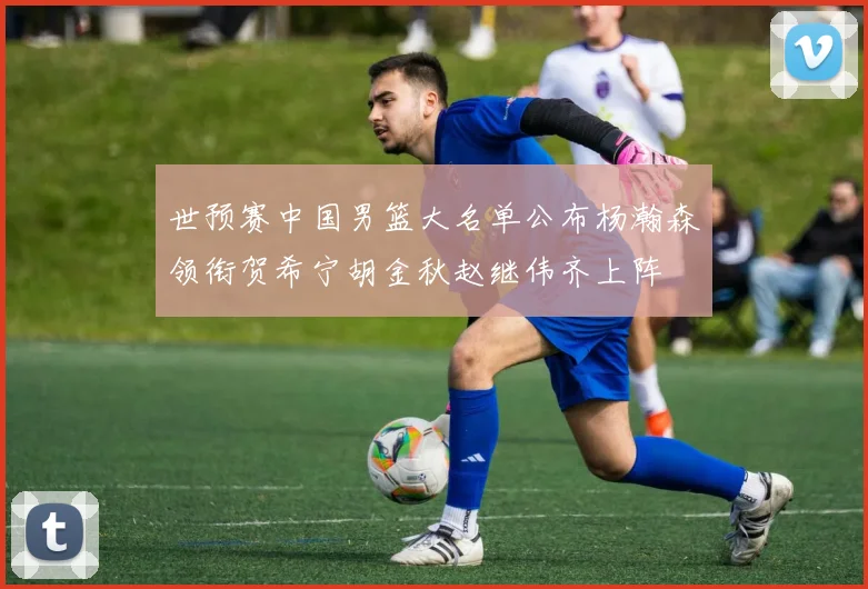 世预赛中国男篮大名单公布杨瀚森领衔贺希宁胡金秋赵继伟齐上阵