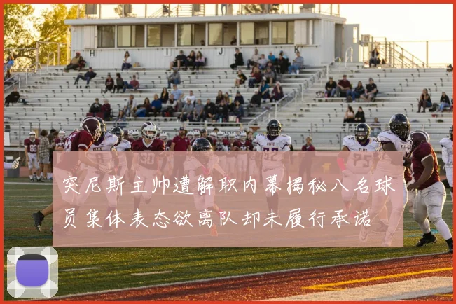 突尼斯主帅遭解职内幕揭秘八名球员集体表态欲离队却未履行承诺